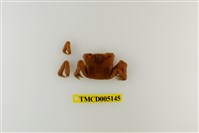 藏品(字紋弓蟹)的圖片